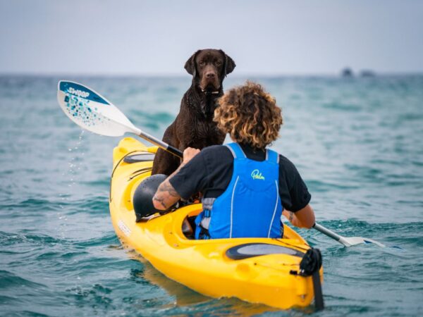 kayak tours